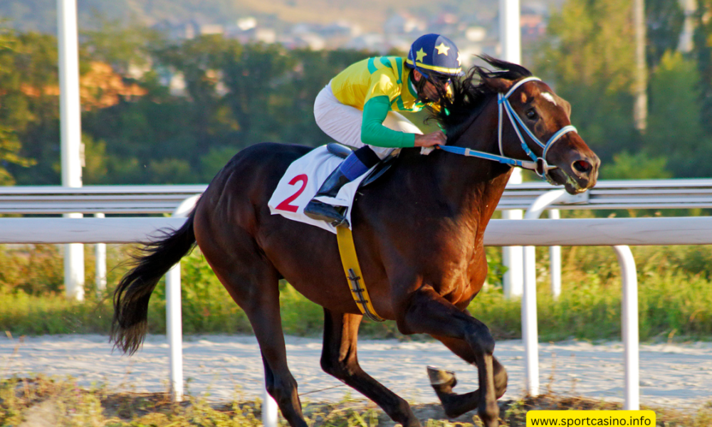 Horse Racing Rules: A Beginner’s Guide to the Sport